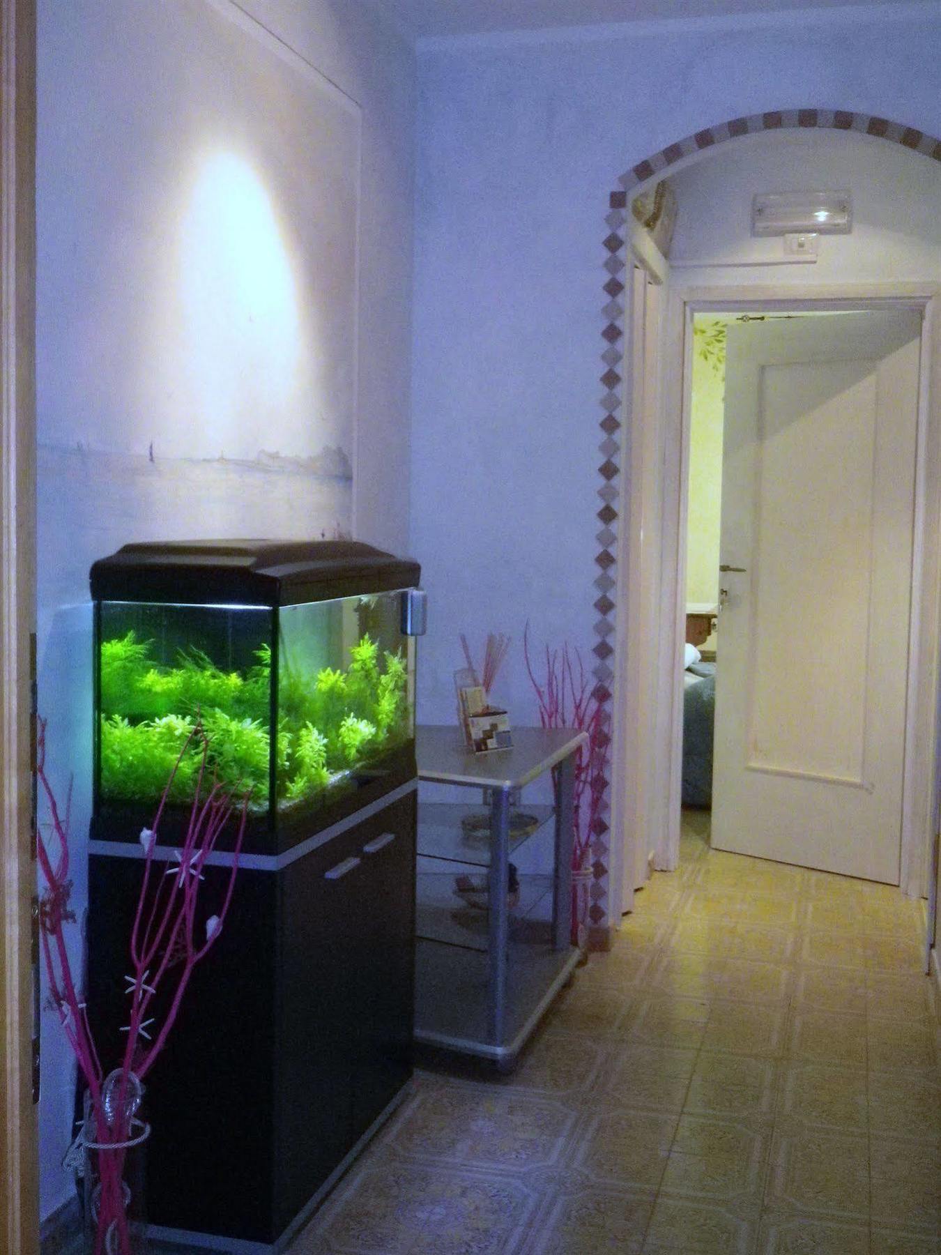 Elisart Guest House Alghero Eksteriør bilde